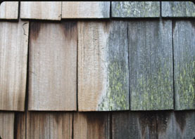 cedar shingles power washing long island